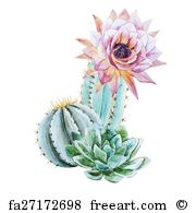 180x195 Free Art Print Of Watercolor Cactus Illustration. Watercolor - Cactus Flower Watercolor