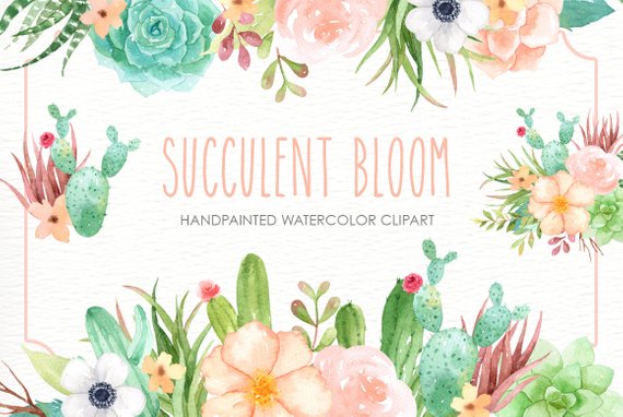 570x382 Succulent Bloom Watercolor Cliparts Cactus Flower Clipart Etsy - Cactus Flower Watercolor