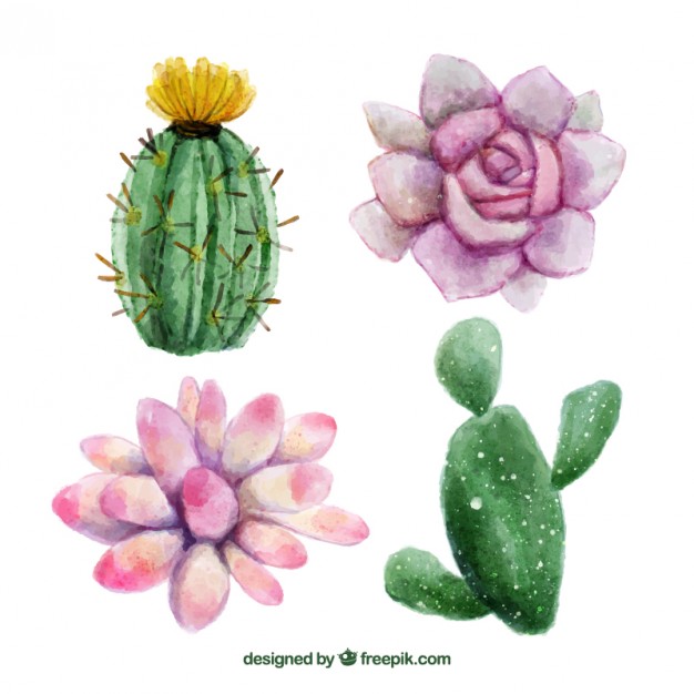 626x626 Watercolor Hand Painted Flowers And Cactus Vector Free Download - Cactus Flower Watercolor