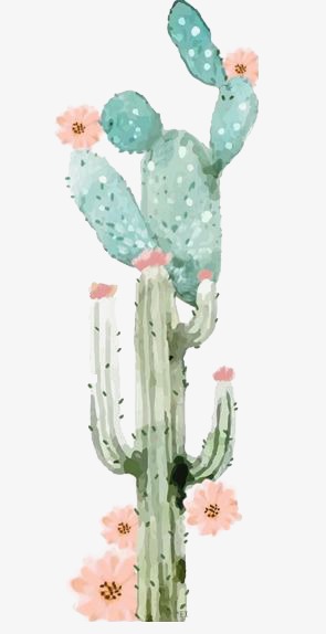 295x574 Cactus, Watercolor Cactus, Drawing Plant, Green Png Image And - Cactus Watercolor Clipart