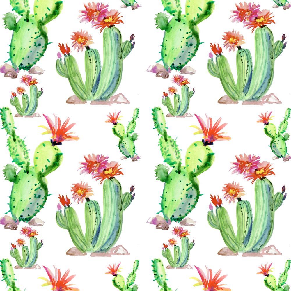 1000x1000 Cactus Watercolor 25 Pattern - Cactus Watercolor Clipart