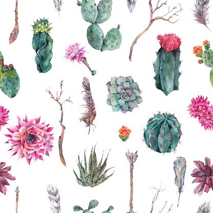 416x416 Cactus Watercolor Seamless Pattern In Boho Premium Clipart - Cactus Watercolor Clipart