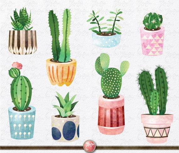 570x488 Cactus Clip Art Cactus Pack, Watercolor Cactus, Succulent - Cactus Watercolor Clipart
