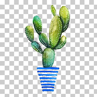 310x310 160 Potted Cactus Watercolor Painting Png Cliparts For Free - Cactus Watercolor Clipart