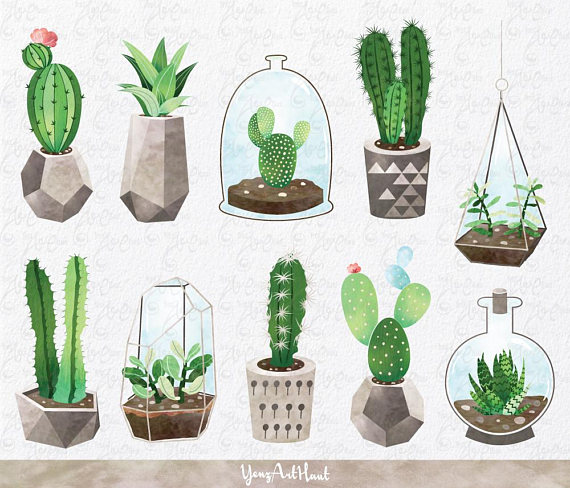 570x488 Collection Of Free Cacti Clipart Succulent. Download On Ubisafe - Cactus Watercolor Clipart