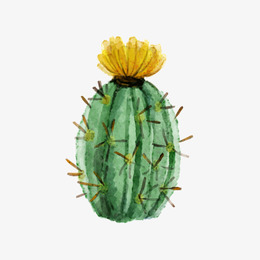 260x260 Download Cactus Png Watercolor Clipart Cactus Watercolor Painting - Cactus Watercolor Clipart