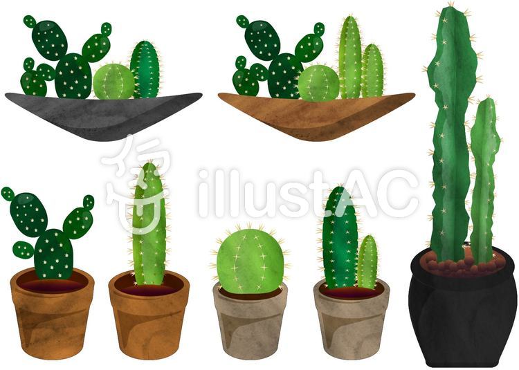 750x535 Free Cliparts Cactus Watercolor - Cactus Watercolor Clipart