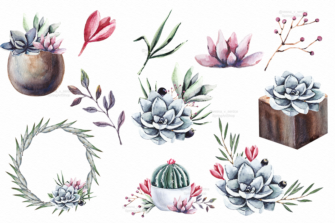 1160x772 Succulents Amp Cactus Watercolor Clipart By Springartshop - Cactus Watercolor Clipart