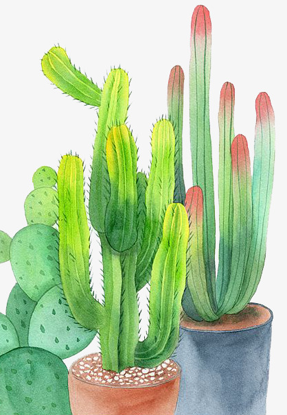 418x605 Watercolor Cactus, Watercolor Clipart, Watercolor, Cactus Png - Cactus Watercolor Clipart