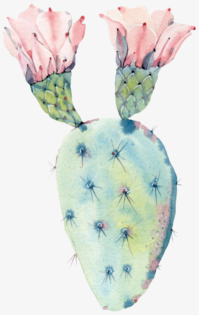 650x1025 Watercolor Flower Cactus, Watercolor Clipart, Flower Clipart Png - Cactus Watercolor Clipart
