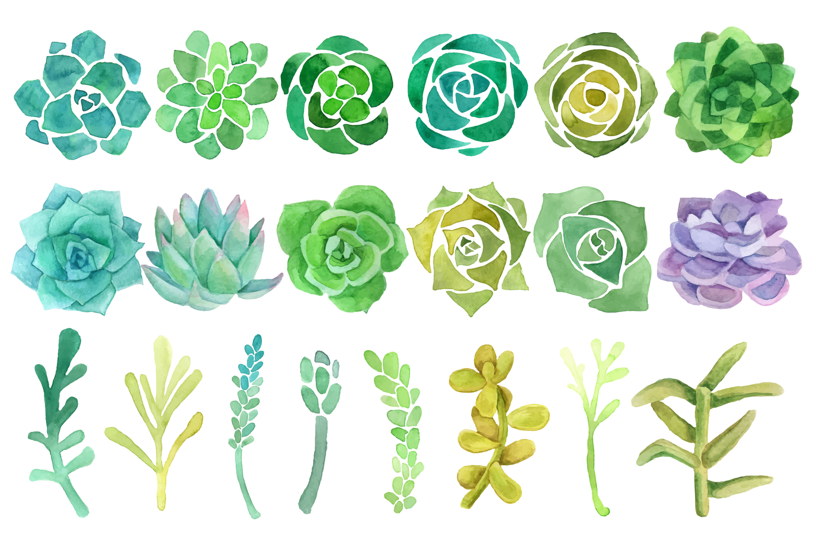 1600x1065 Watercolor Cactus And Succulent Set In Illustrations On Yellow - Cactus Watercolor Clipart