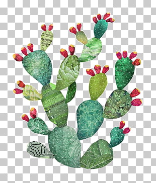 310x364 871 Cactus Watercolor Png Cliparts For Free Download Uihere - Cactus Watercolor Clipart