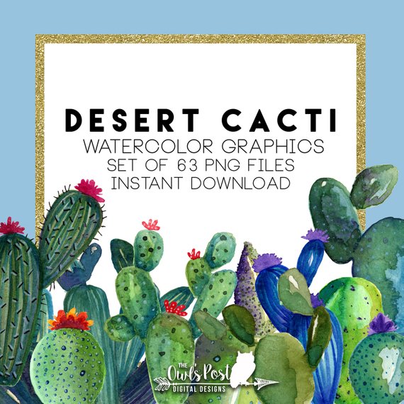 570x570 Cacti Clipart Cactus Watercolor Clipart Desert Graphics Etsy - Cactus Watercolor Clipart