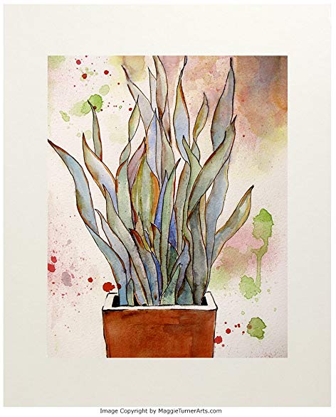 Cactus Watercolor Painting