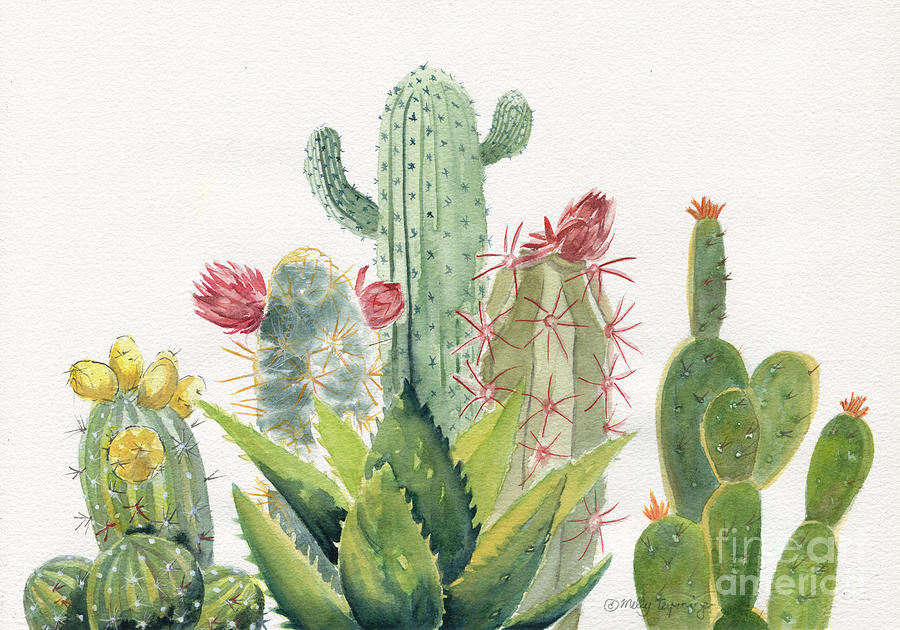 Cactus Watercolor Painting At Paintingvalley Com Explore Collection Of Cactus Watercolor Painting