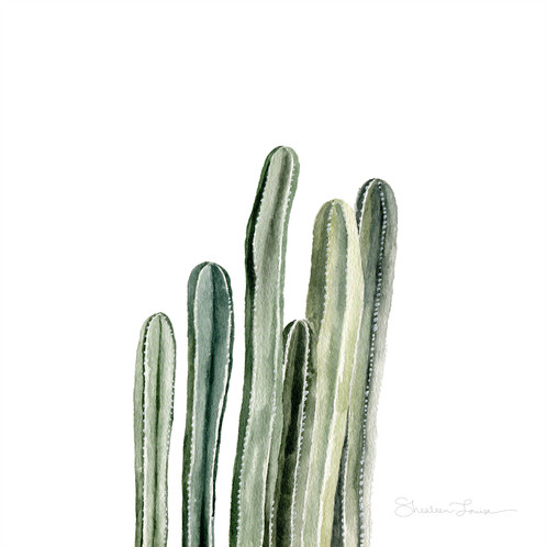 498x498 Desert Cacti - Cactus Watercolor Painting