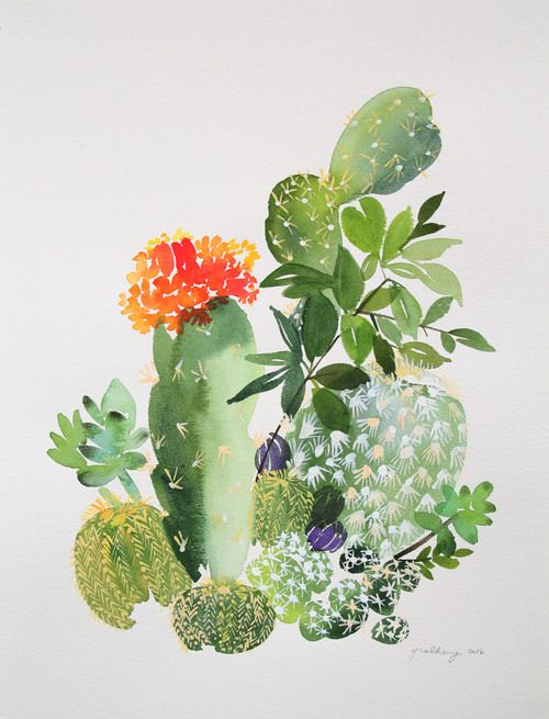 500x655 Pin By Red Panda On Art And Photography Cacti - Cactus Watercolor Painting