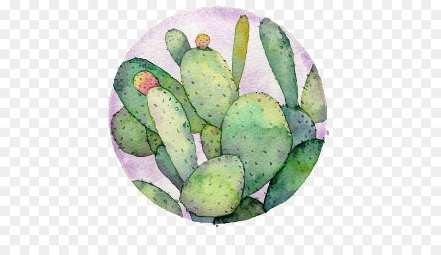 900x520 Watercolor Flowers Watercolor Painting Drawing Cactaceae - Cactus Watercolor Painting