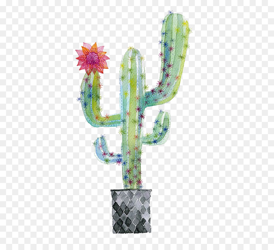 900x820 Cactaceae Succulent Plant Watercolor Painting Paper - Cactus Watercolor Painting