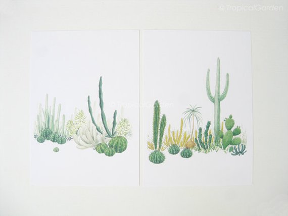 570x428 Cactus Watercolor Print Set Any Two Cactus Art Cactus Print Etsy - Cactus Watercolor Print