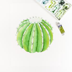 300x300 California Barrel Cactus - Cactus Watercolor Print