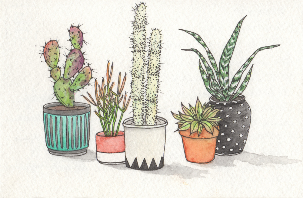 1000x655 Cacti Hilary Wootton - Cactus Watercolor Print