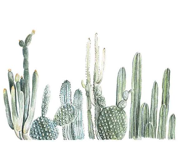 570x456 Cactus Row No 1 Art Print - Cactus Watercolor Print