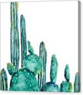 163x186 Cactus Watercolor 1 Painting By Color Color - Cactus Watercolor Print