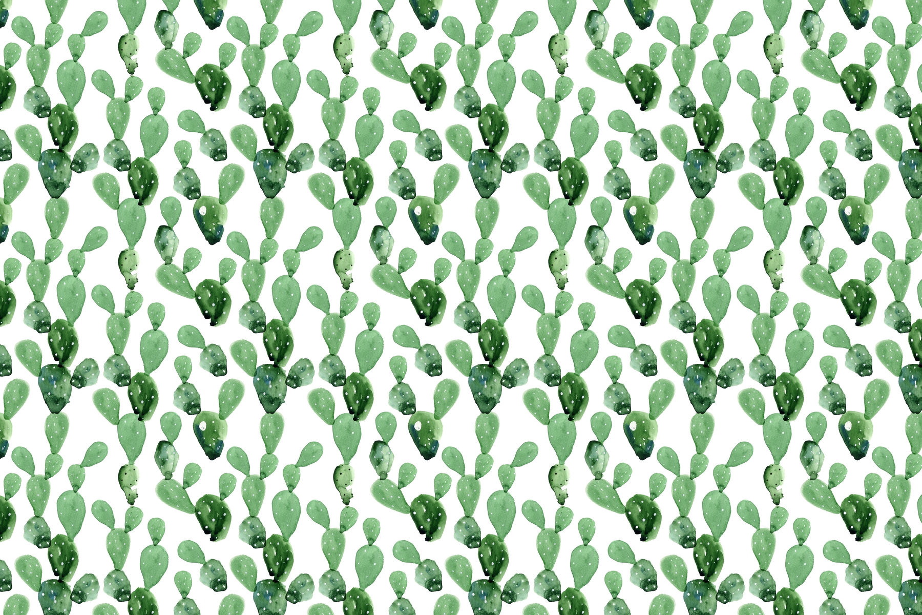 1800x1200 Cactus Watercolor Wall Mural Photo Wallpaper Nature - Cactus Watercolor Wallpaper