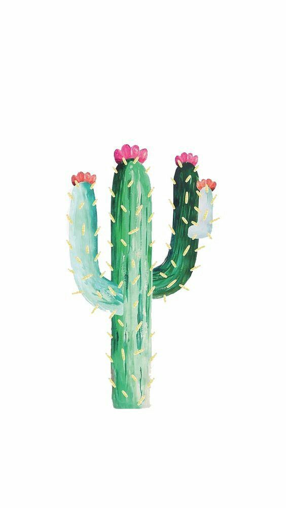 564x1001 Cactus Watercolor Print Art Love Wallpaper, Cacti - Cactus Watercolor Wallpaper