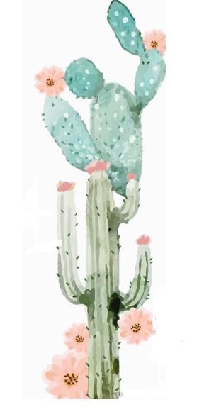 295x574 Image Result For Cactus Watercolor Conversational Laminas - Cactus Watercolor Wallpaper