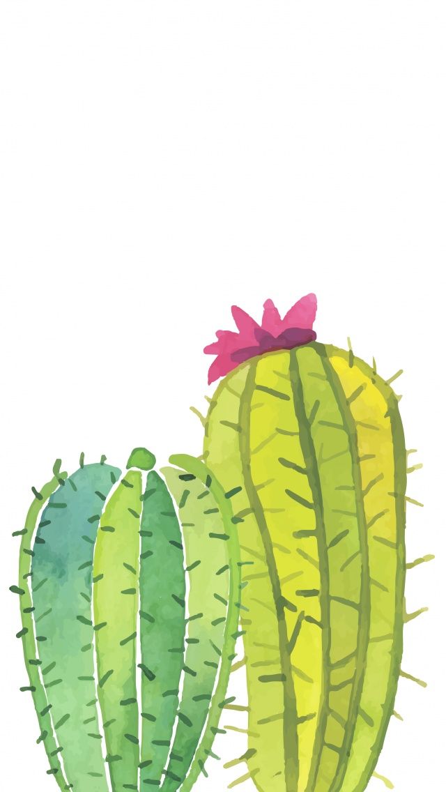 640x1136 Phone Amp Celular Wallpaper Watercolor Painting Cactus. Tap To See - Cactus Watercolor Wallpaper