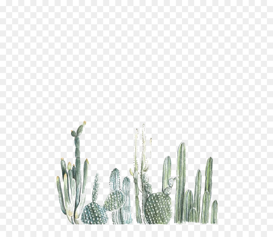 900x780 Cactaceae Cacti Amp Succulents Desktop Wallpaper Succulent Plant - Cactus Watercolor Wallpaper