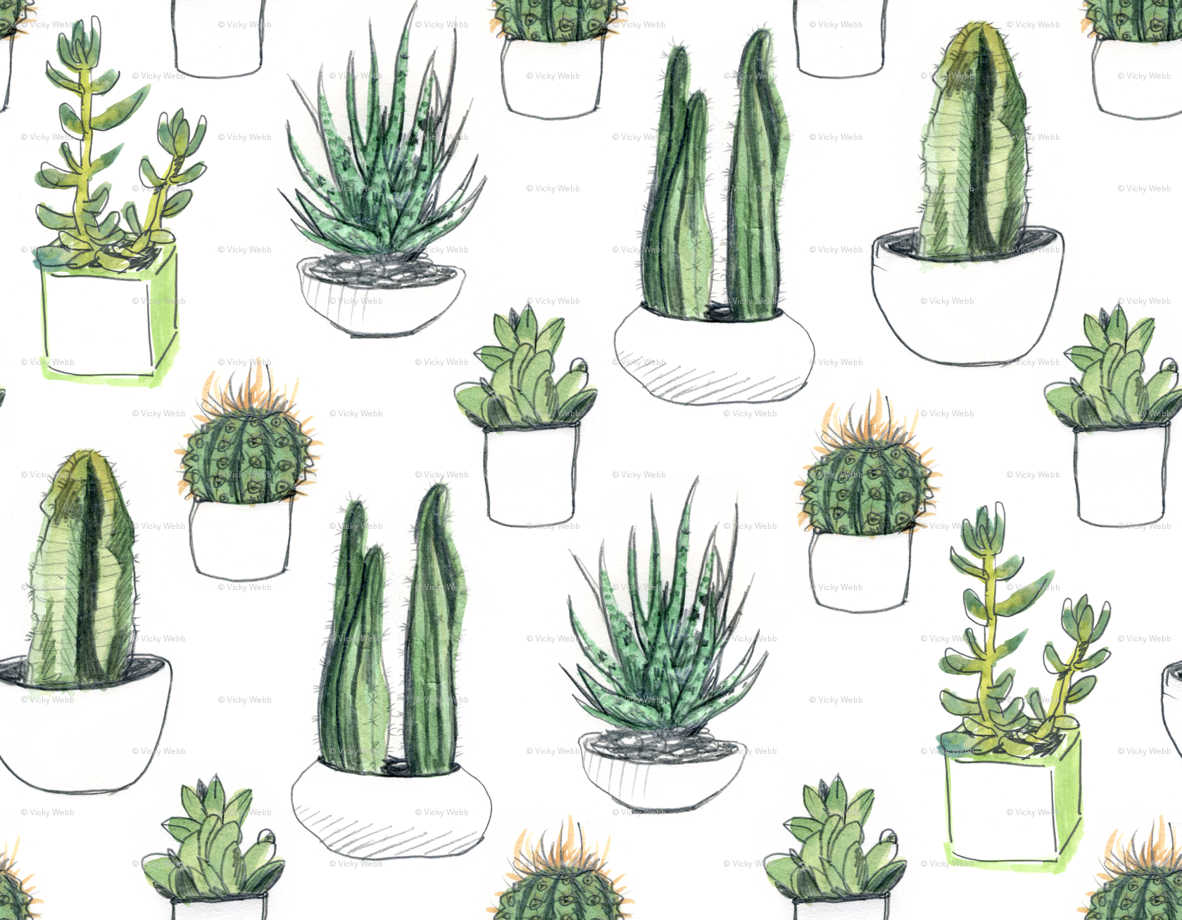 1679x1308 Watercolour Cacti And Succulents Wallpaper - Cactus Watercolor Wallpaper