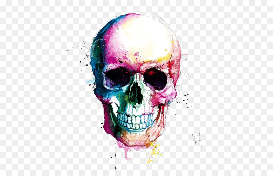 900x580 Skull Calavera Drawing Color Painting - Calavera Watercolor