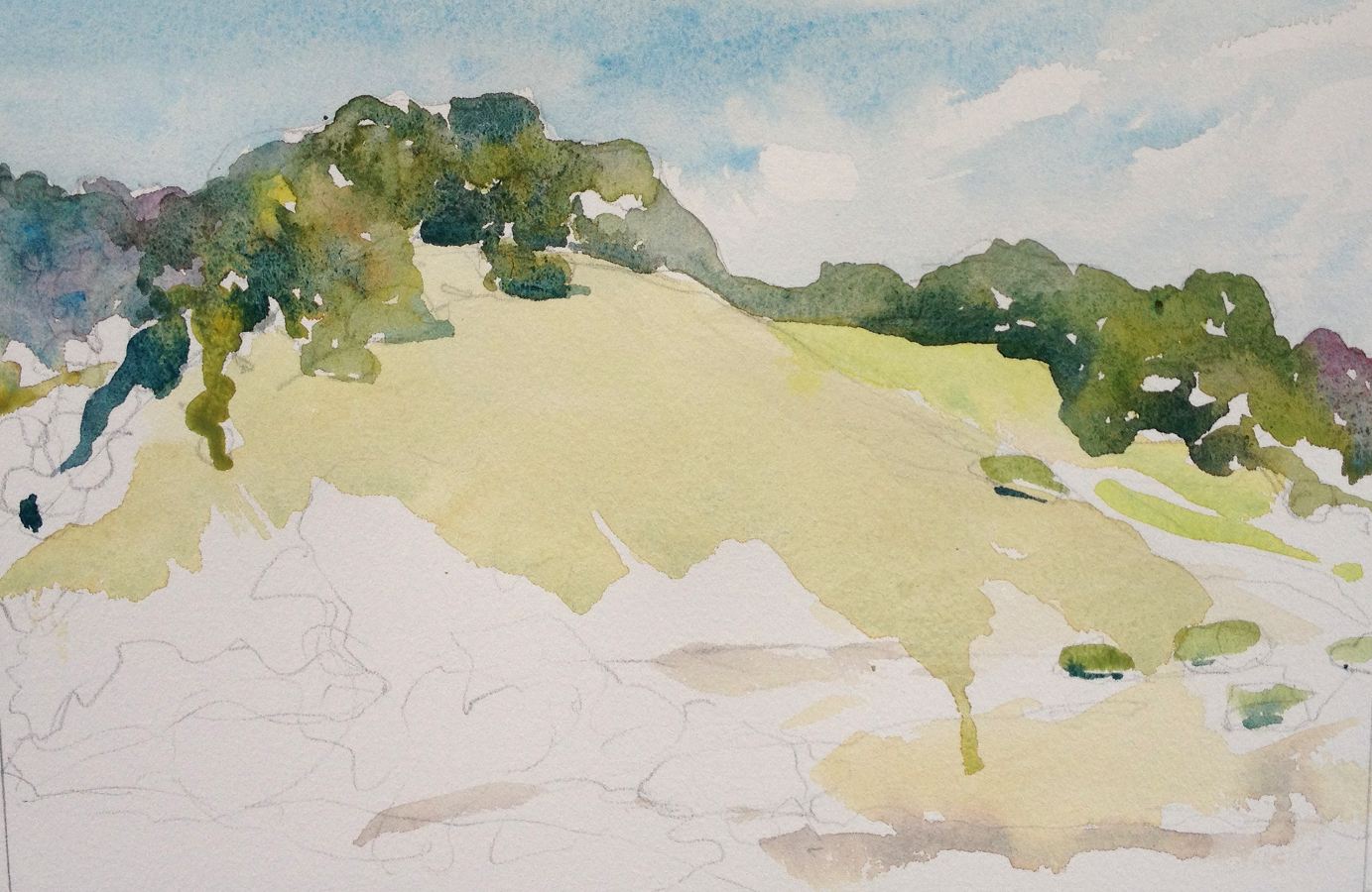 1383x900 Trees Creative Color - California Watercolor