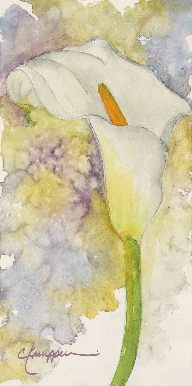 747x1500 Calla Lily Study - Calla Lily Watercolor