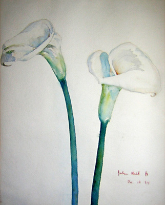 322x400 Fine Art, Flower Composition, Calla Lilies, John Held, Vintage - Calla Lily Watercolor
