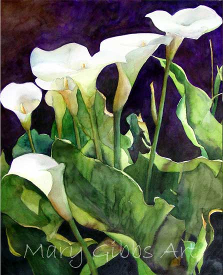 446x550 Flowers Mary Gibbs Art - Calla Lily Watercolor