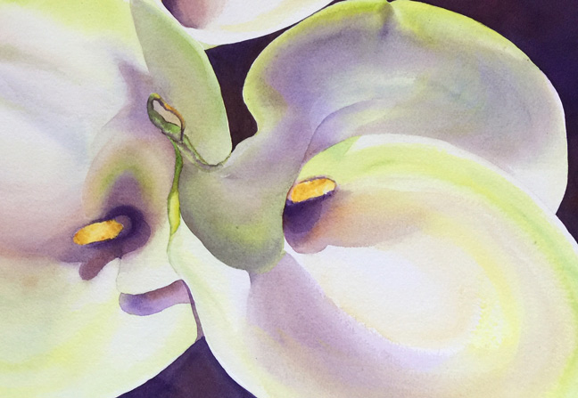 648x447 Giselle Ayupova Calla Lilies - Calla Lily Watercolor