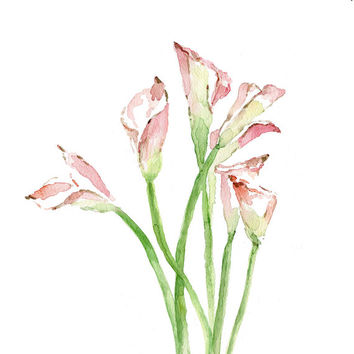 354x354 Shop Calla Lily Paintings On Wanelo - Calla Lily Watercolor