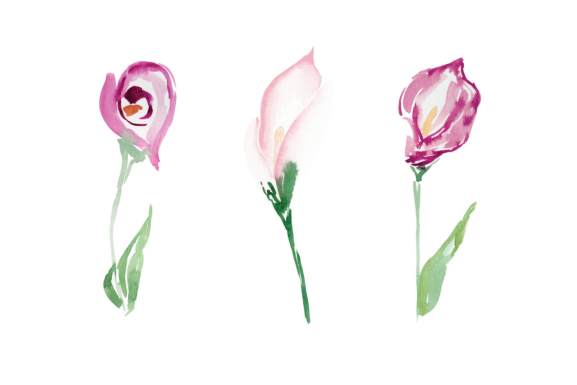 1950x1301 The Tud Shop Things Unseen Designs - Calla Lily Watercolor