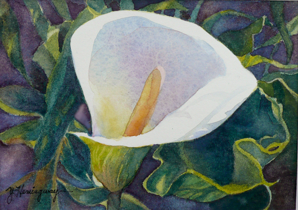600x424 White Calla Lily Watercolor Painting - Calla Lily Watercolor