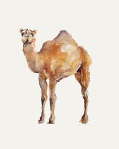 236x295 Camels In Desert - Camel Water Colour