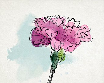 340x270 Carnation Watercolor Etsy - Carnation Watercolor