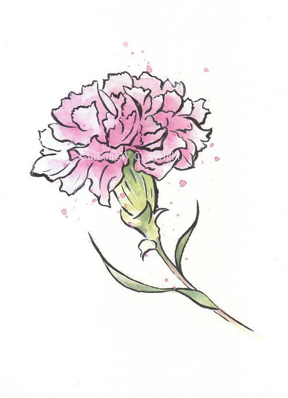 570x788 Japanese, Japanese Watercolor, Sumie, Watercolor Painting, Flower - Carnation Watercolor