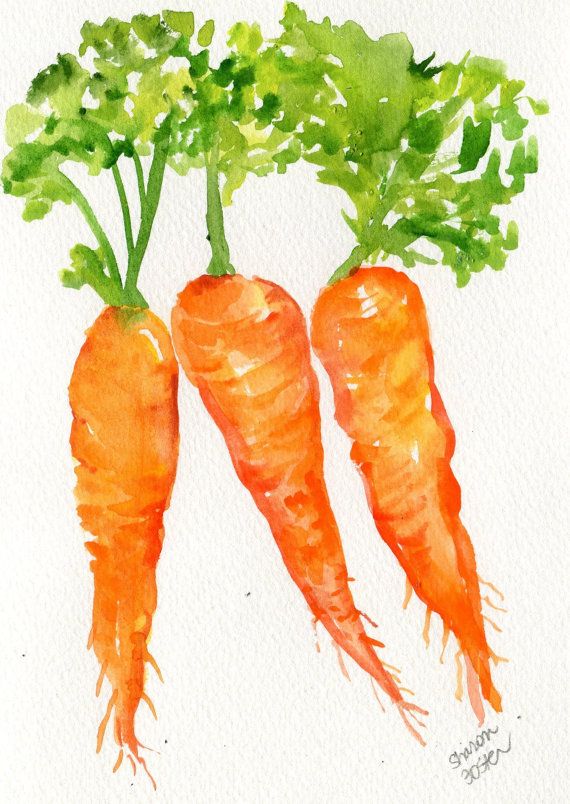 570x804 Original Carrots Watercolor Painting 5 X 7 Small Vegetable - Carrot Watercolor
