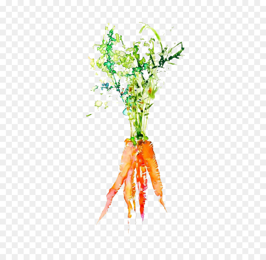 900x880 Watercolor Painting Vegetable Graphic Design Illustration - Carrot Watercolor
