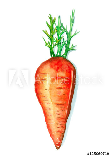 354x500 Carrot, Watercolor Painting On White Background - Carrot Watercolor