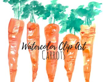 340x270 Carrot Watercolor Etsy - Carrot Watercolor